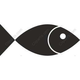 Minimalist Fish