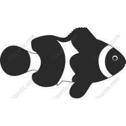 Clownfish