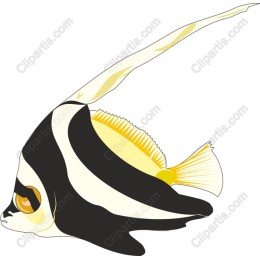 Butterfly Fish