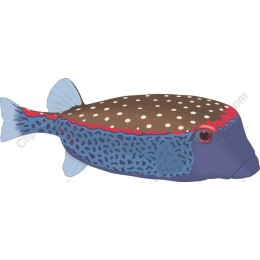 Vibrant Polka Dot Fish
