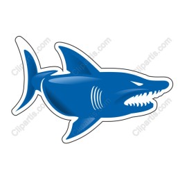 Blue Shark