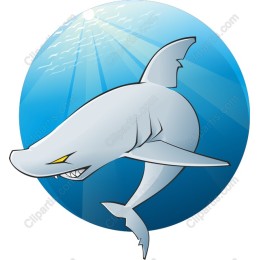 Dynamic Shark