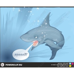 Playful Shark - Привет