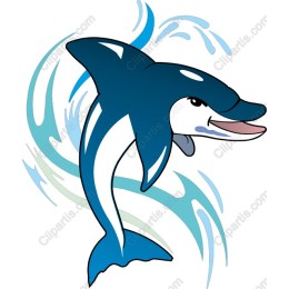 Playful Dolphin