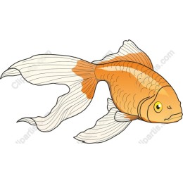 Vibrant Goldfish