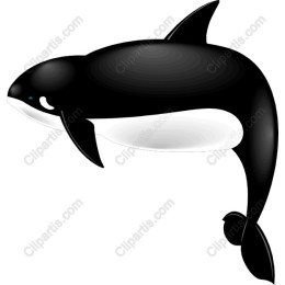 Orca Whale