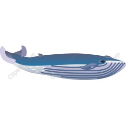 Majestic Whale