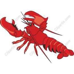 Classic Red Lobster