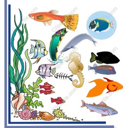 Underwater Paradise Collection
