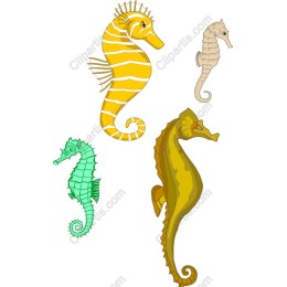 Vibrant Sea Horse Collection