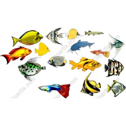 Vibrant Fish Pack