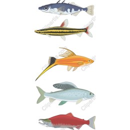Aquatic Life Set - Fish Collection