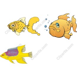 Colorful Aquatic Fish Set