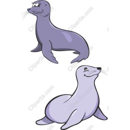 Charming Seal Duo