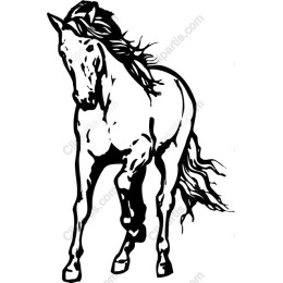 Majestic Horse