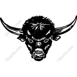 Buffalo Head