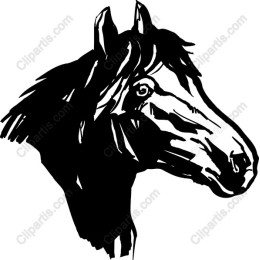 Majestic Horse Head