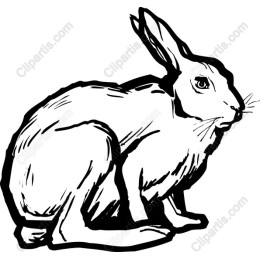 Hand-Drawn Rabbit
