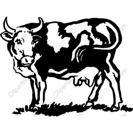 Vintage Cow