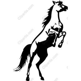 Majestic Rearing Horse