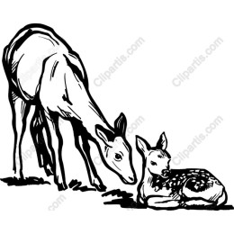 Tender Moments: Mother Deer and Fawn