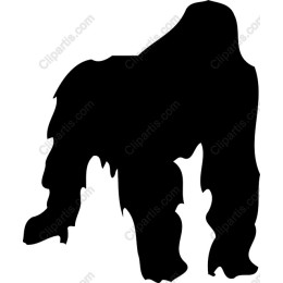 Gorilla