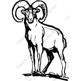 Majestic Ram