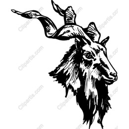 Majestic Goat Head
