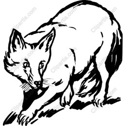 Elegant Fox