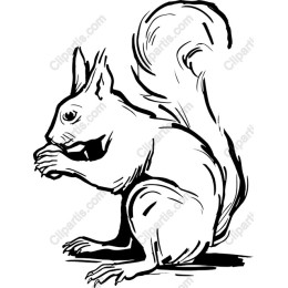 Playful Hand-Drawn Squirrel