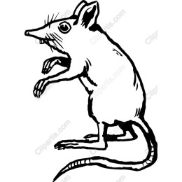 Charming Whimsical Mouse