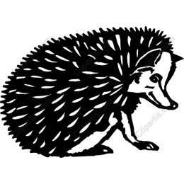 Charming Hedgehog