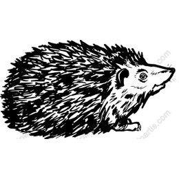 Charming Hedgehog