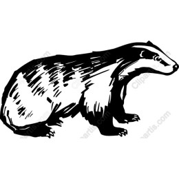 Hand-Drawn Badger