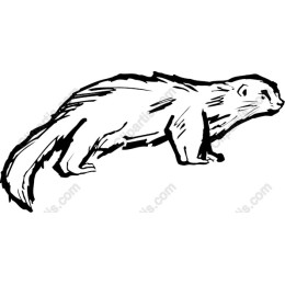 Marten