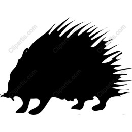 Porcupine