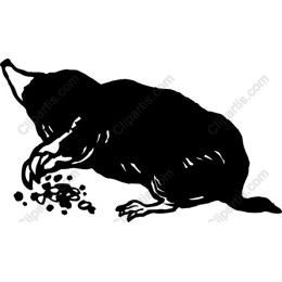 Moles
