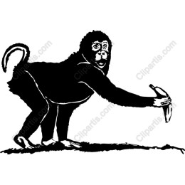 Playful Monkey