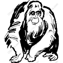 Gorilla Majesty
