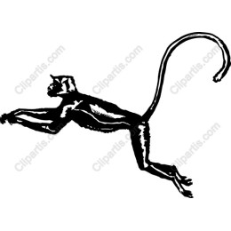 Leaping Monkey