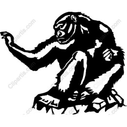 Contemplative Gorilla