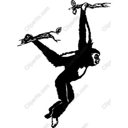 Swinging Monkey