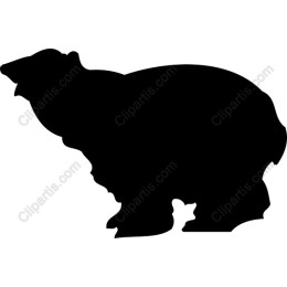 Black Bear