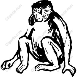Baboons: Artistic