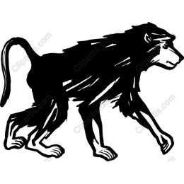 Majestic Lion - Black
