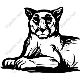 Majestic Mountain Lion