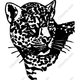 Majestic Leopard