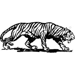 Realistic Tiger