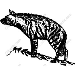 Artistic Hyena