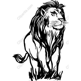 Majestic Lion